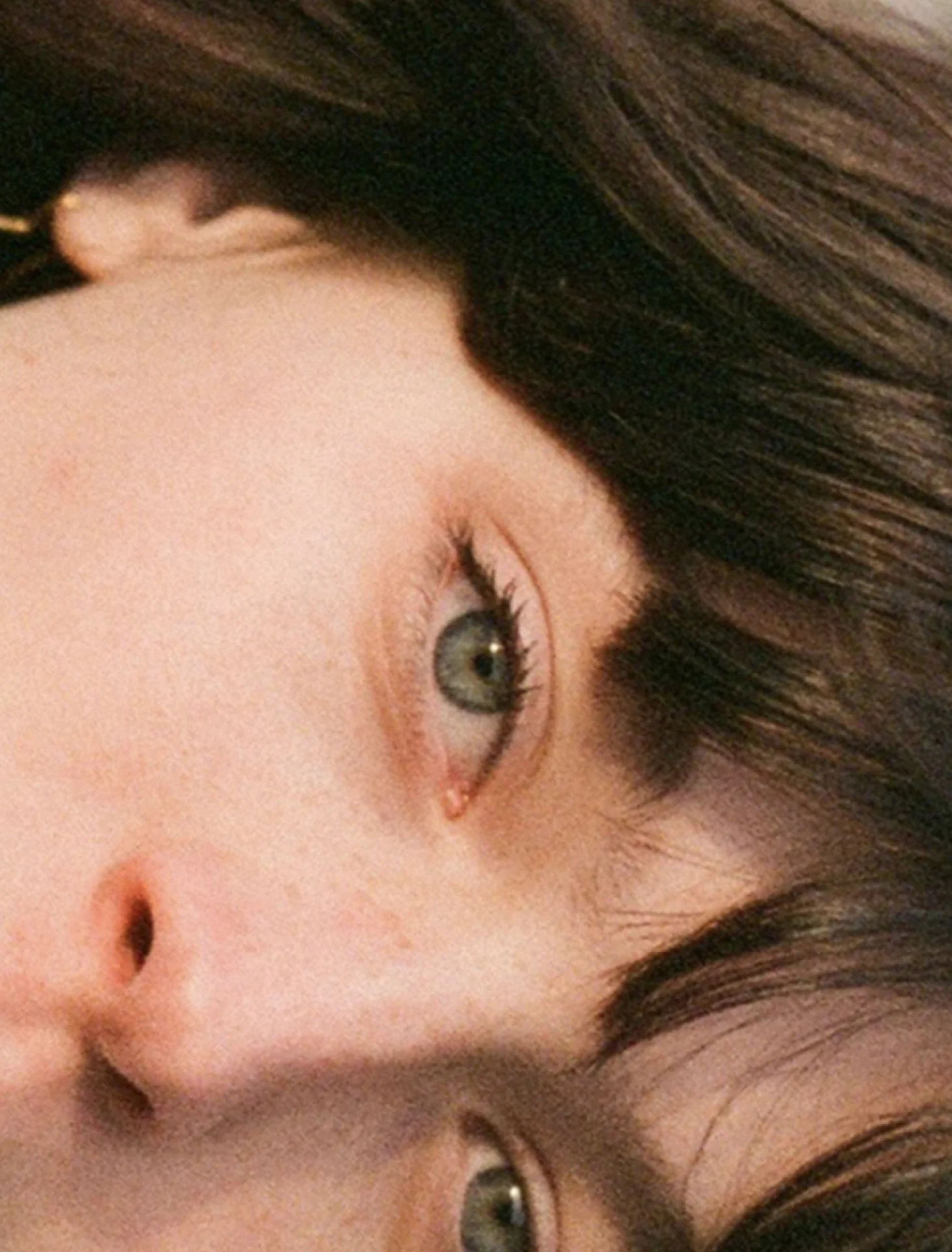 Torn - Image 3