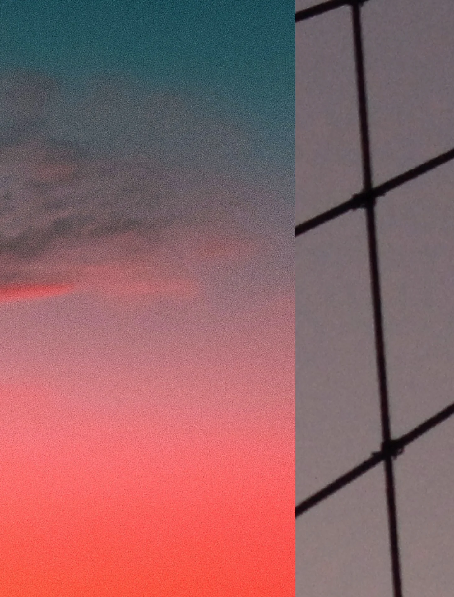 Torn - Image 4